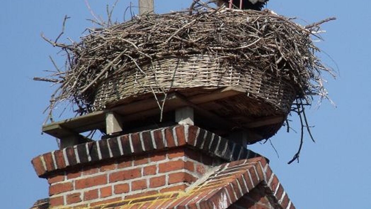 Photo of Outdoor in Strodehne