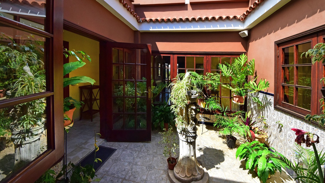 Photo of Outdoor in Puerto de la Cruz