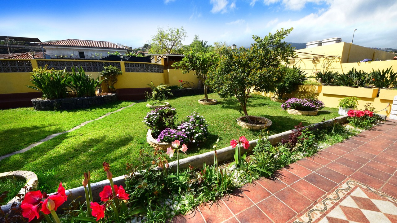 Photo of Outdoor in Puerto de la Cruz