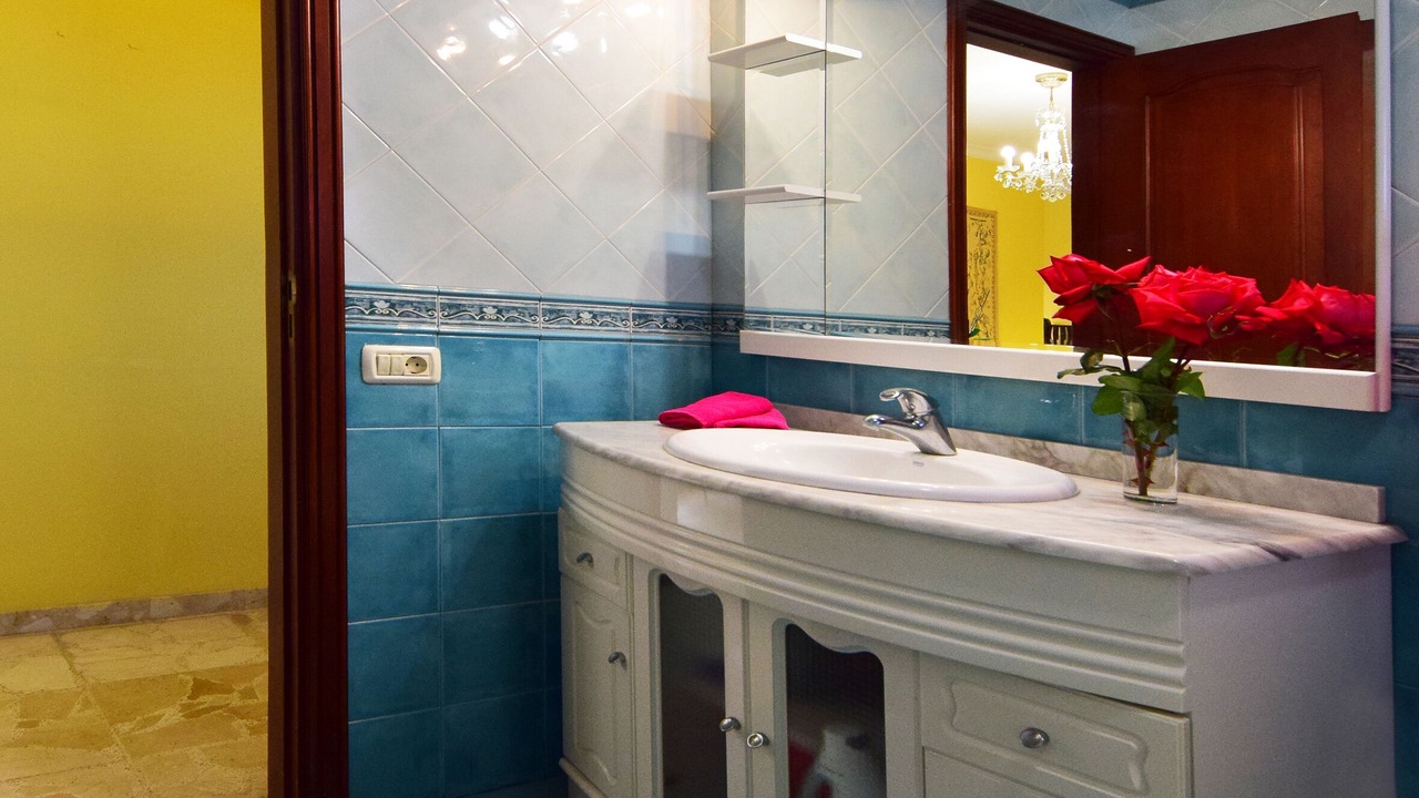 Photo of Bathroom in Puerto de la Cruz