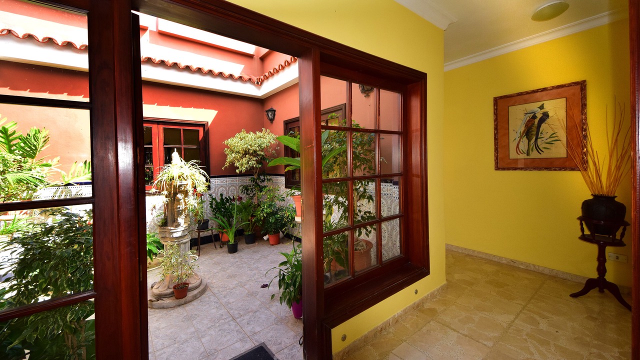 Photo of Others in Puerto de la Cruz