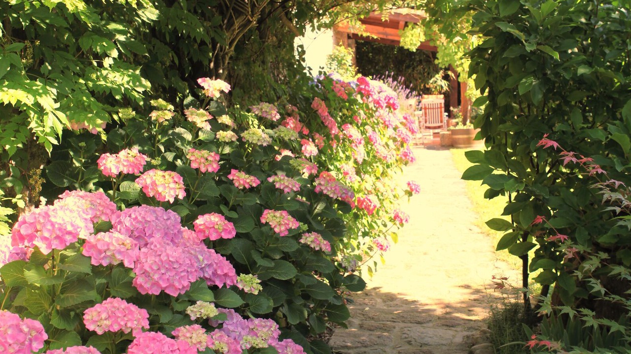 Photo of Outdoor in Rosieres