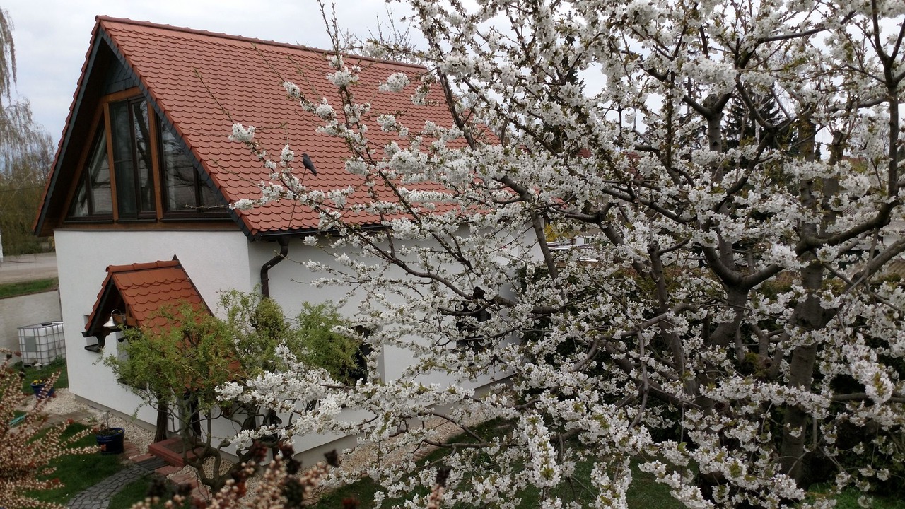 Photo of Outdoor in Erfurt