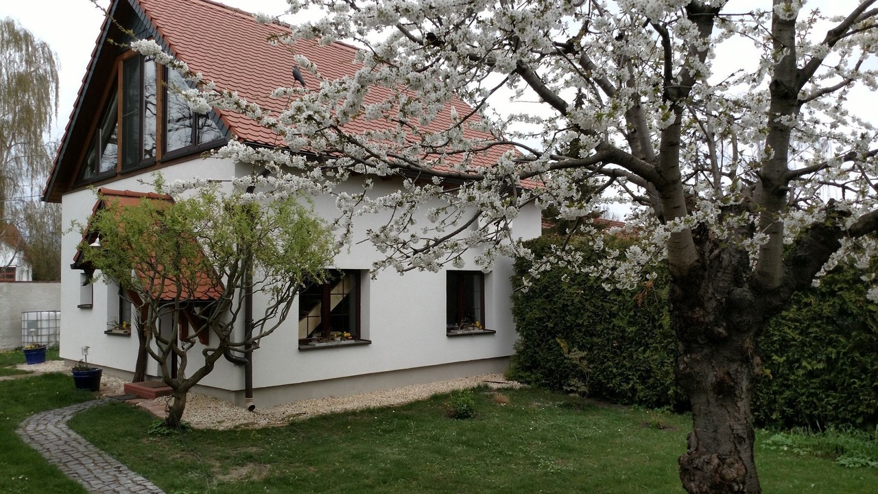 Photo of Outdoor in Erfurt
