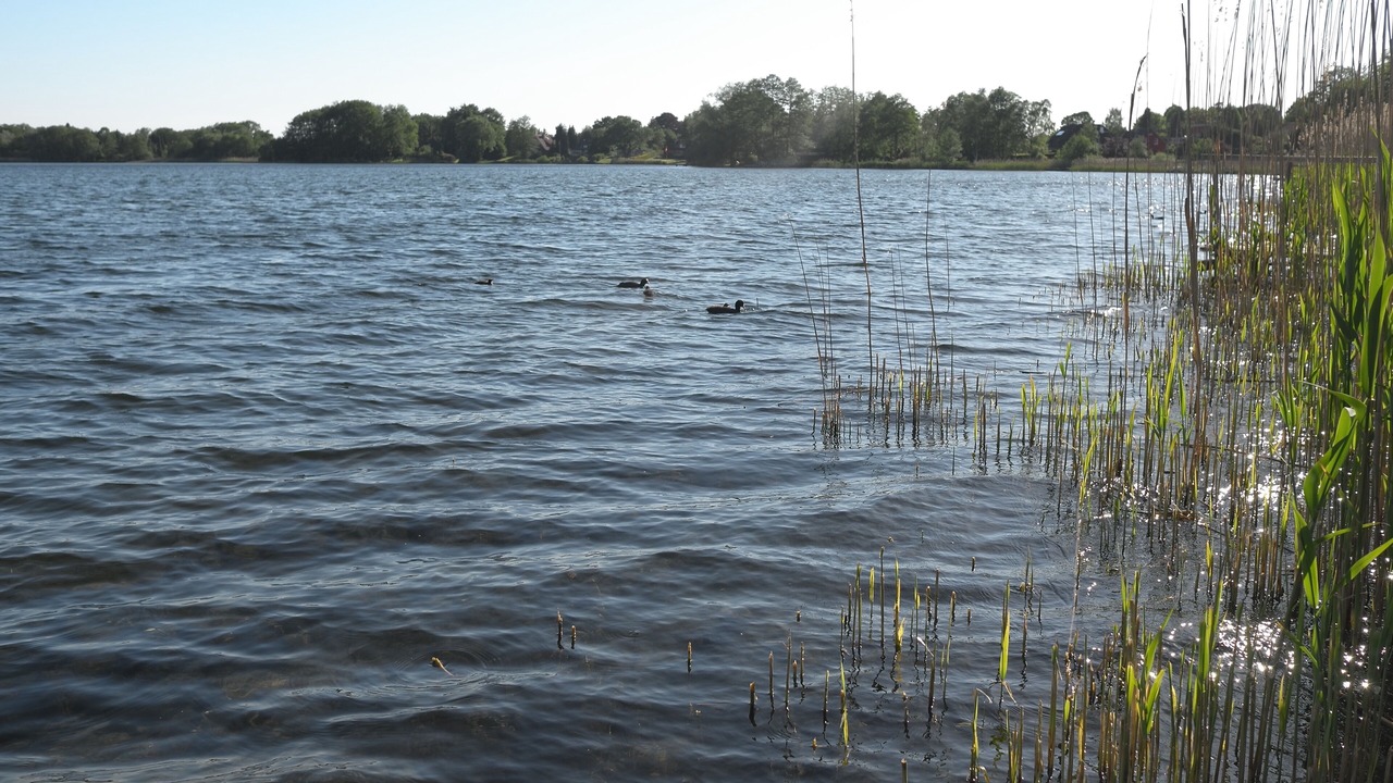 Photo of Others in Timmdorf