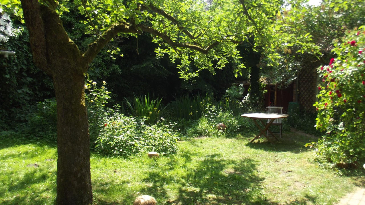 Photo of Outdoor in Lueneburg