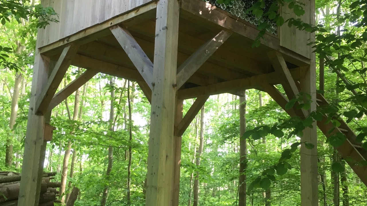 Photo of Outdoor in Luckau
