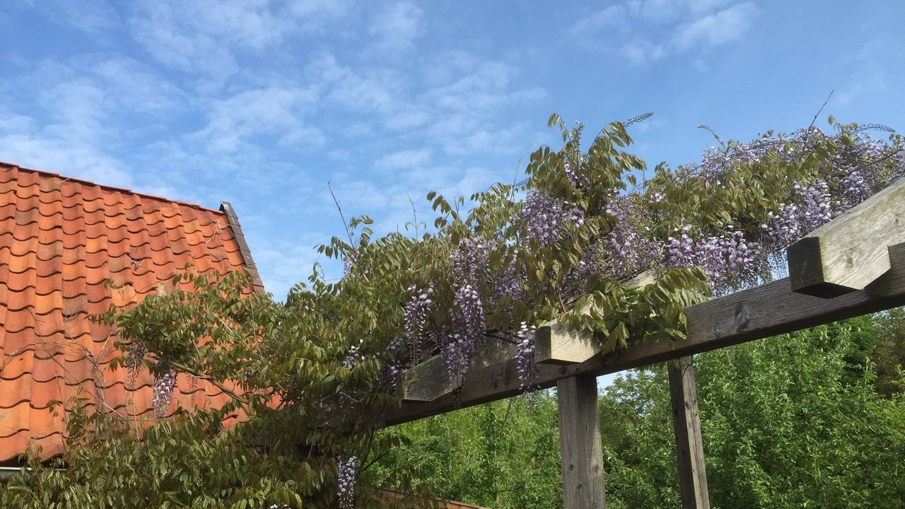 Photo of Outdoor in Luckau