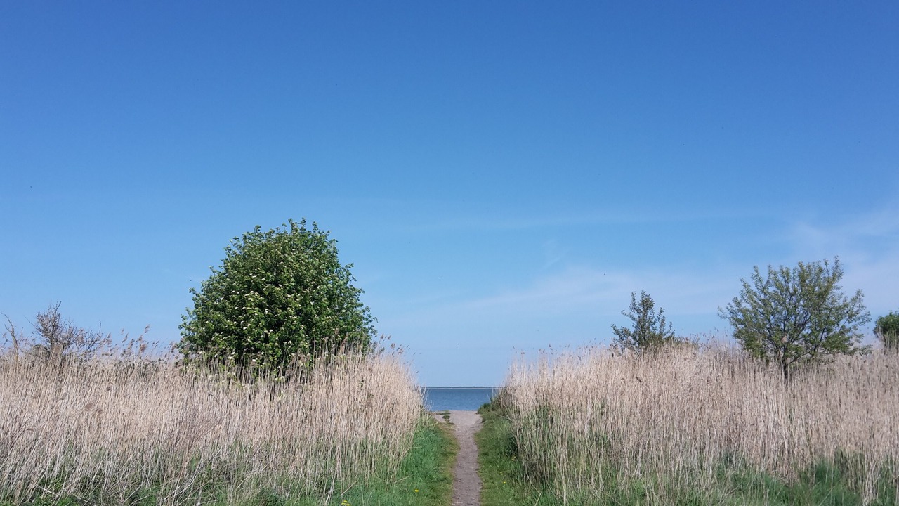 Photo of Outdoor in Pruchten