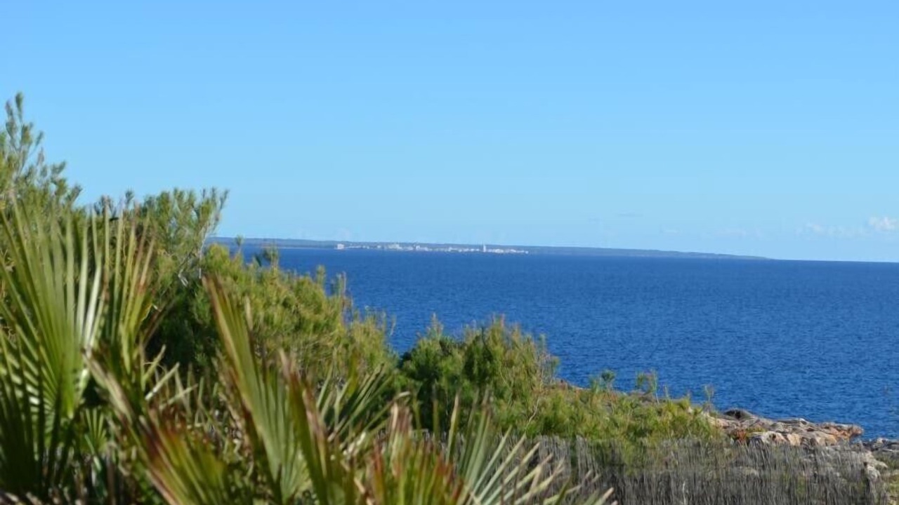 Photo of Others in Vallgornera