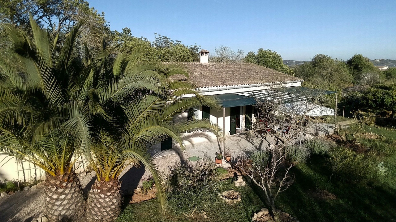 Photo of Outdoor in Montuiri