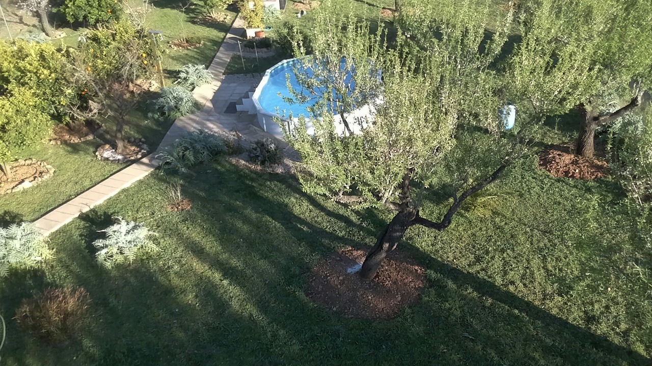 Photo of Outdoor in Montuiri