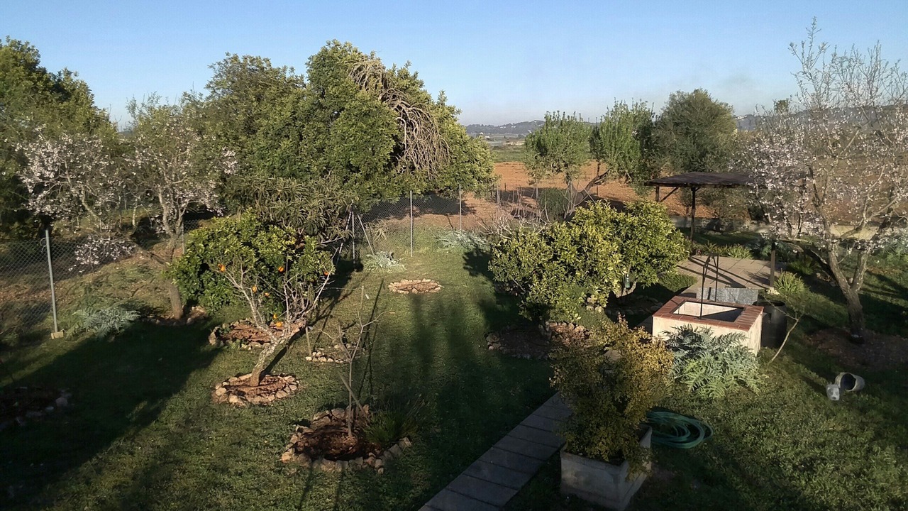 Photo of Outdoor in Montuiri