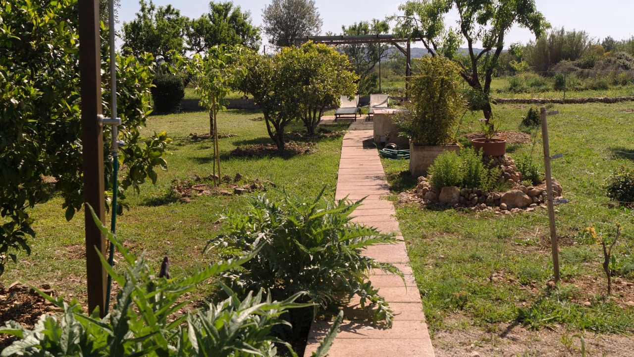 Photo of Outdoor in Montuiri