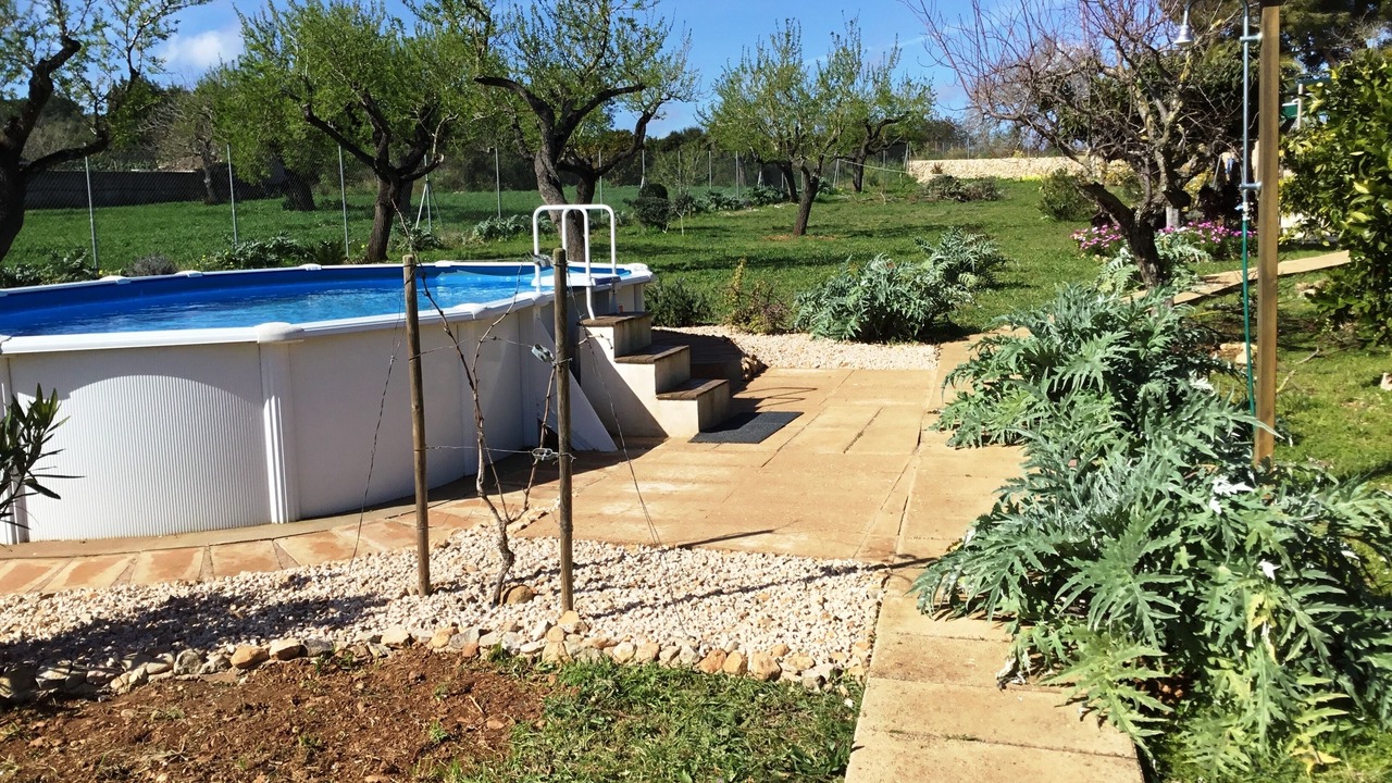 Photo of Outdoor in Montuiri