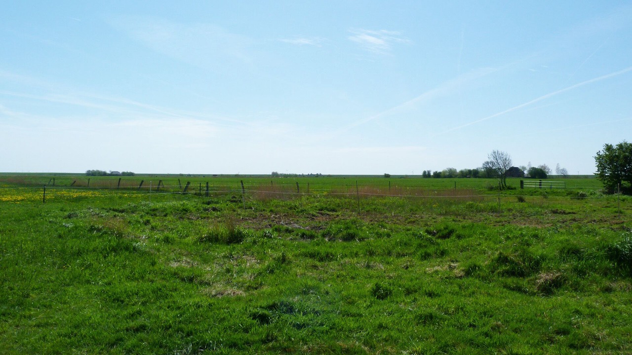 Photo of Outdoor in Hattstedtermarsch