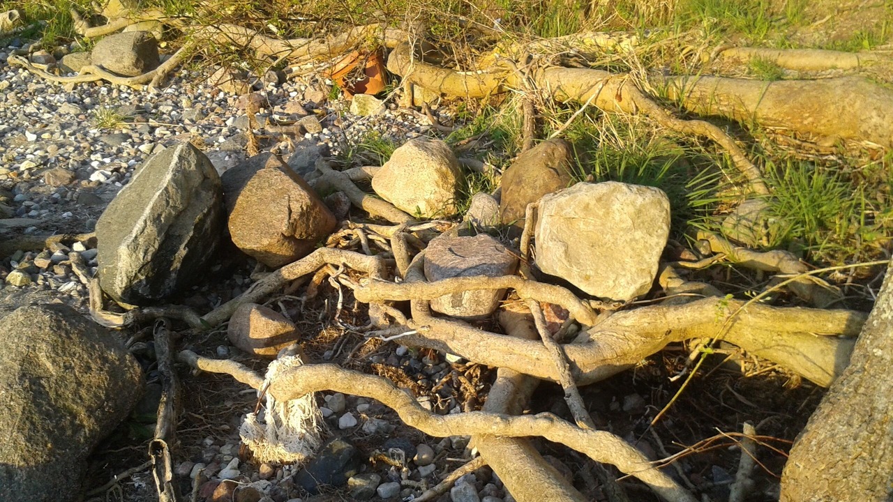 Photo of Outdoor in Monchgut-Granitz