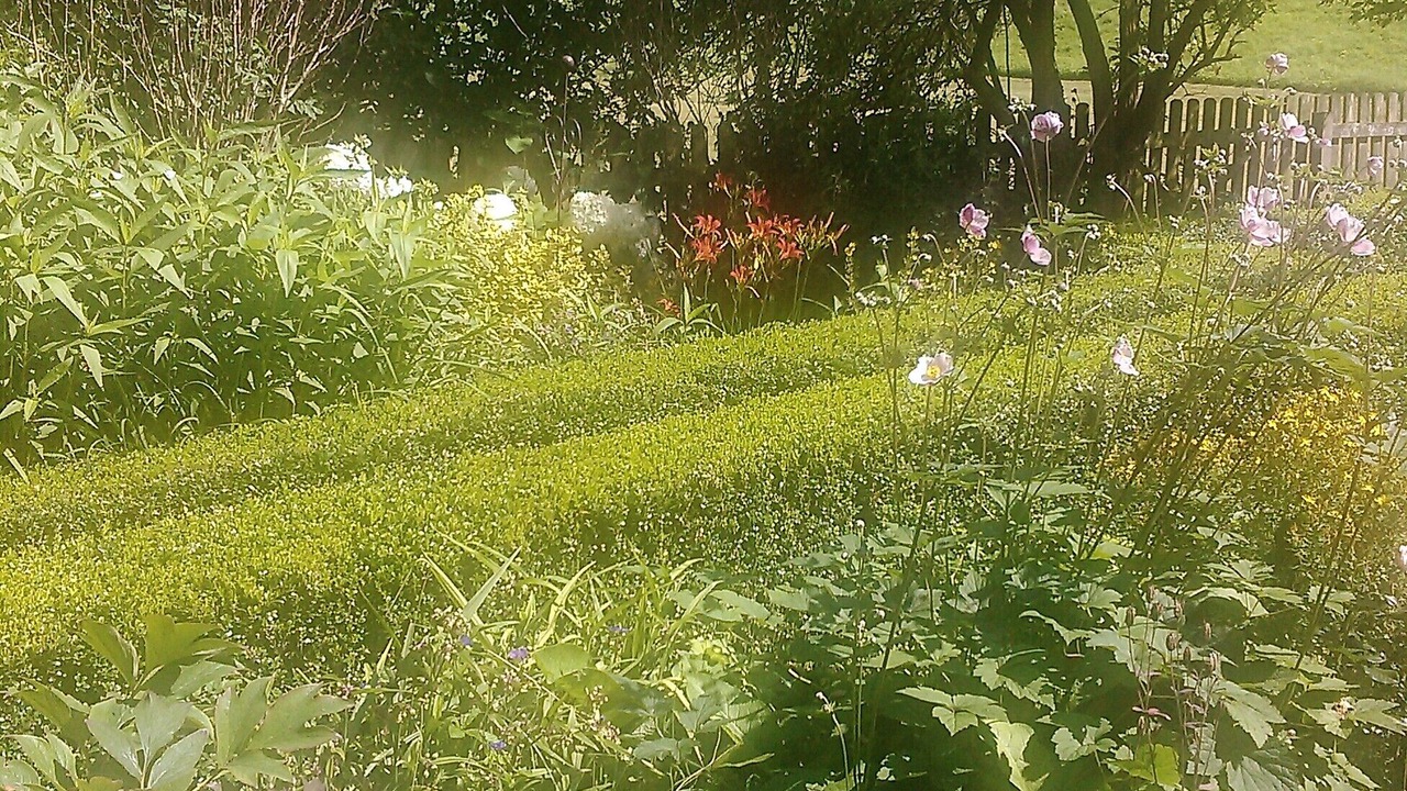 Photo of Outdoor in Modlich