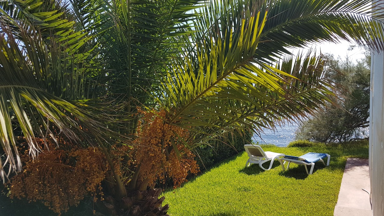 Photo of Patio Balcony in Porto Cristo Novo