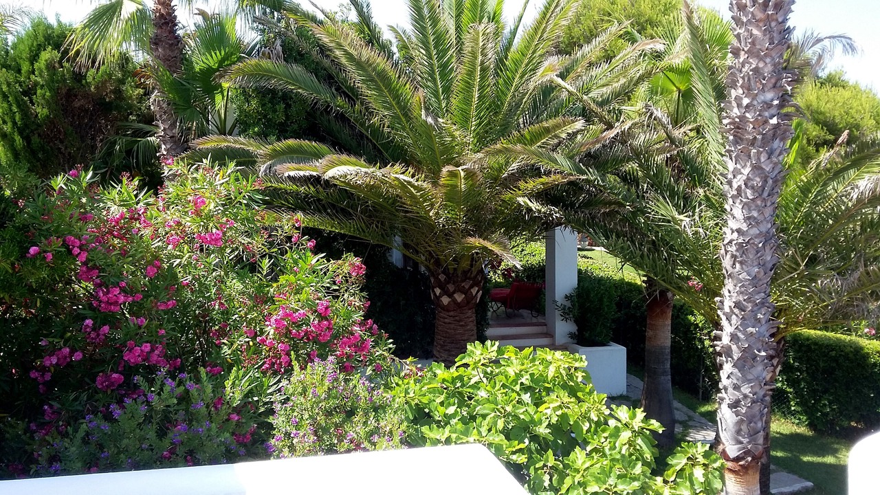 Photo of Outdoor in Porto Cristo Novo