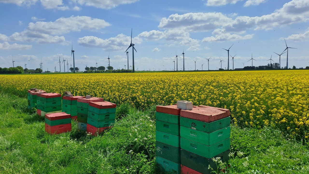 Photo of Outdoor in Friedrichskoog
