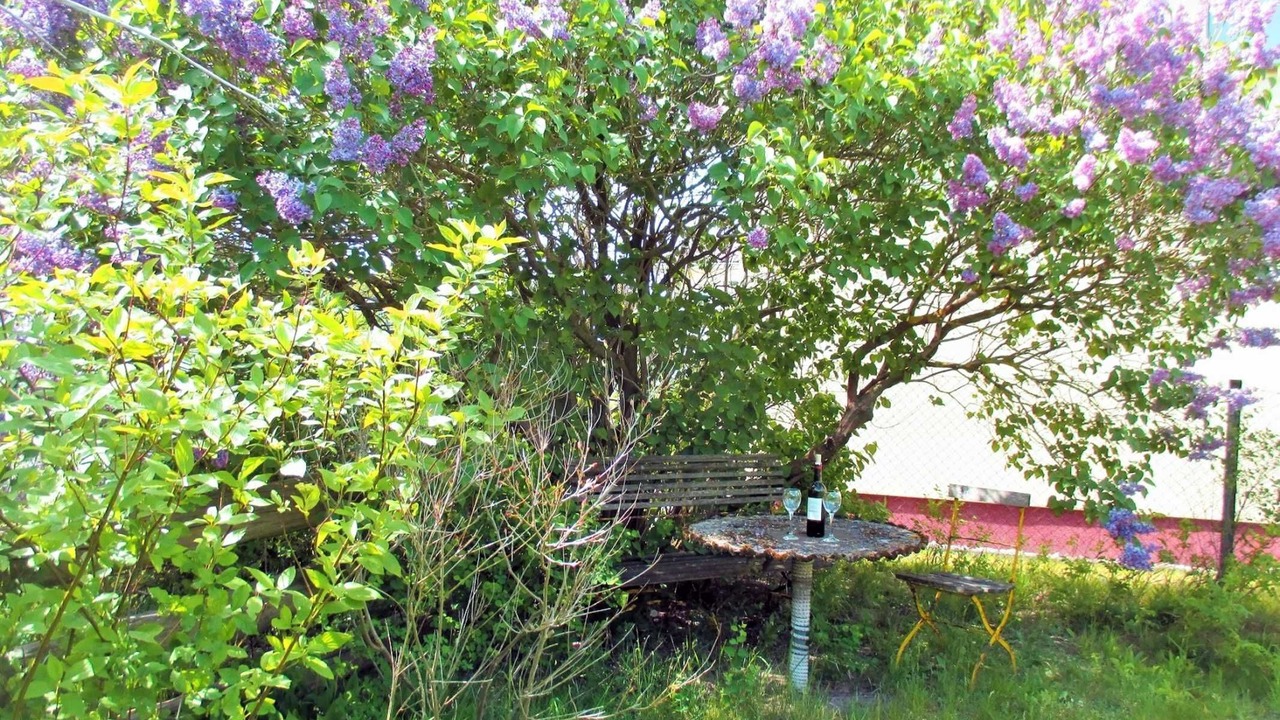 Photo of Outdoor in Spandowerhagen