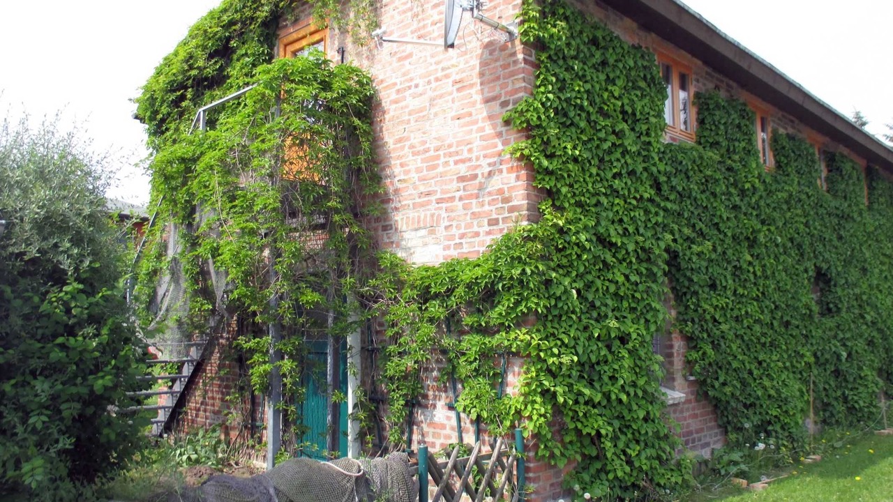 Photo of Outdoor in Spandowerhagen