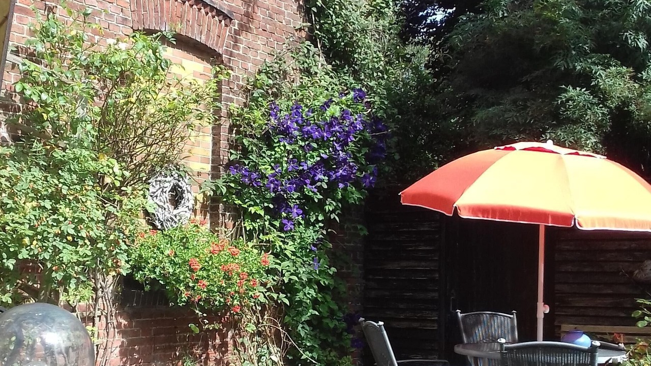 Photo of Outdoor in Butjadingen