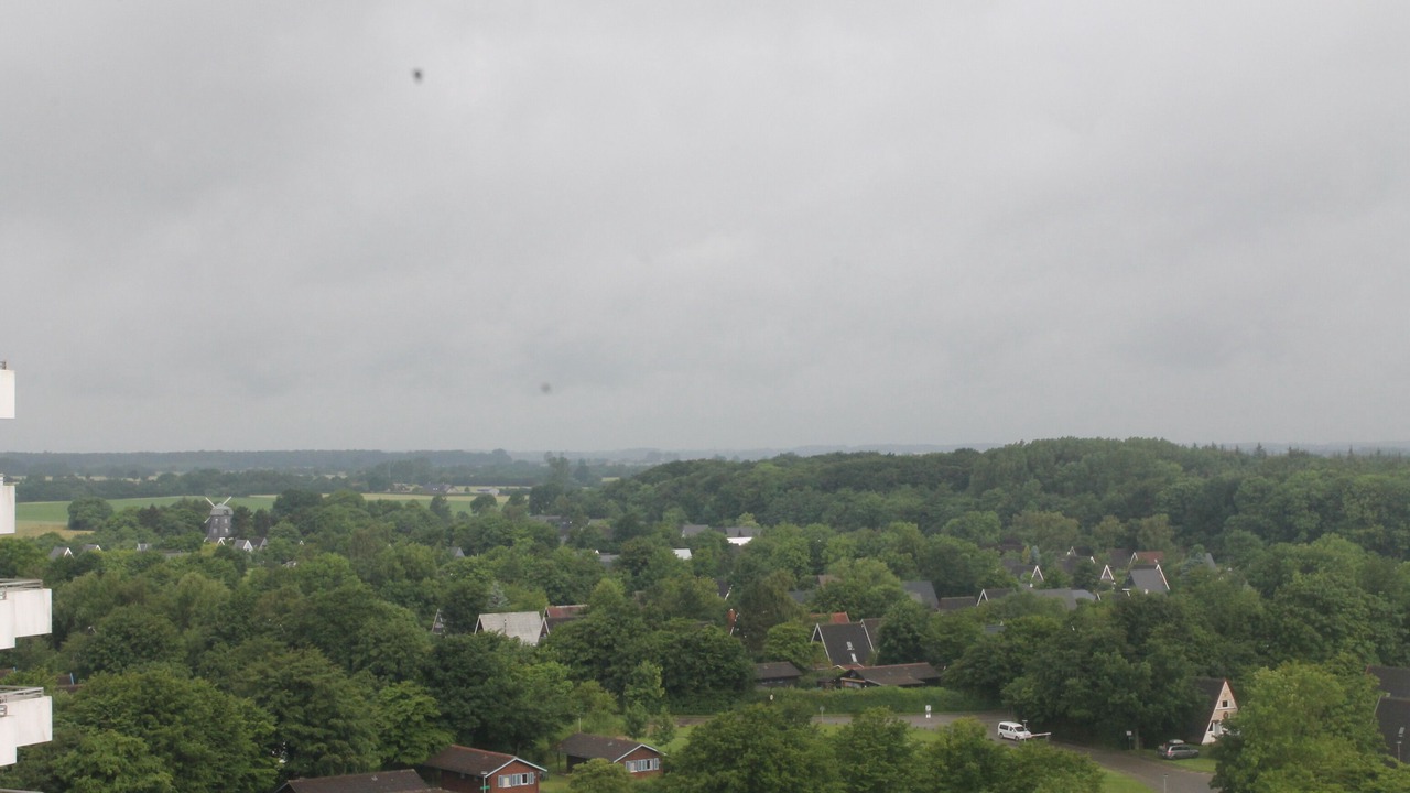 Photo of Outdoor in Damp