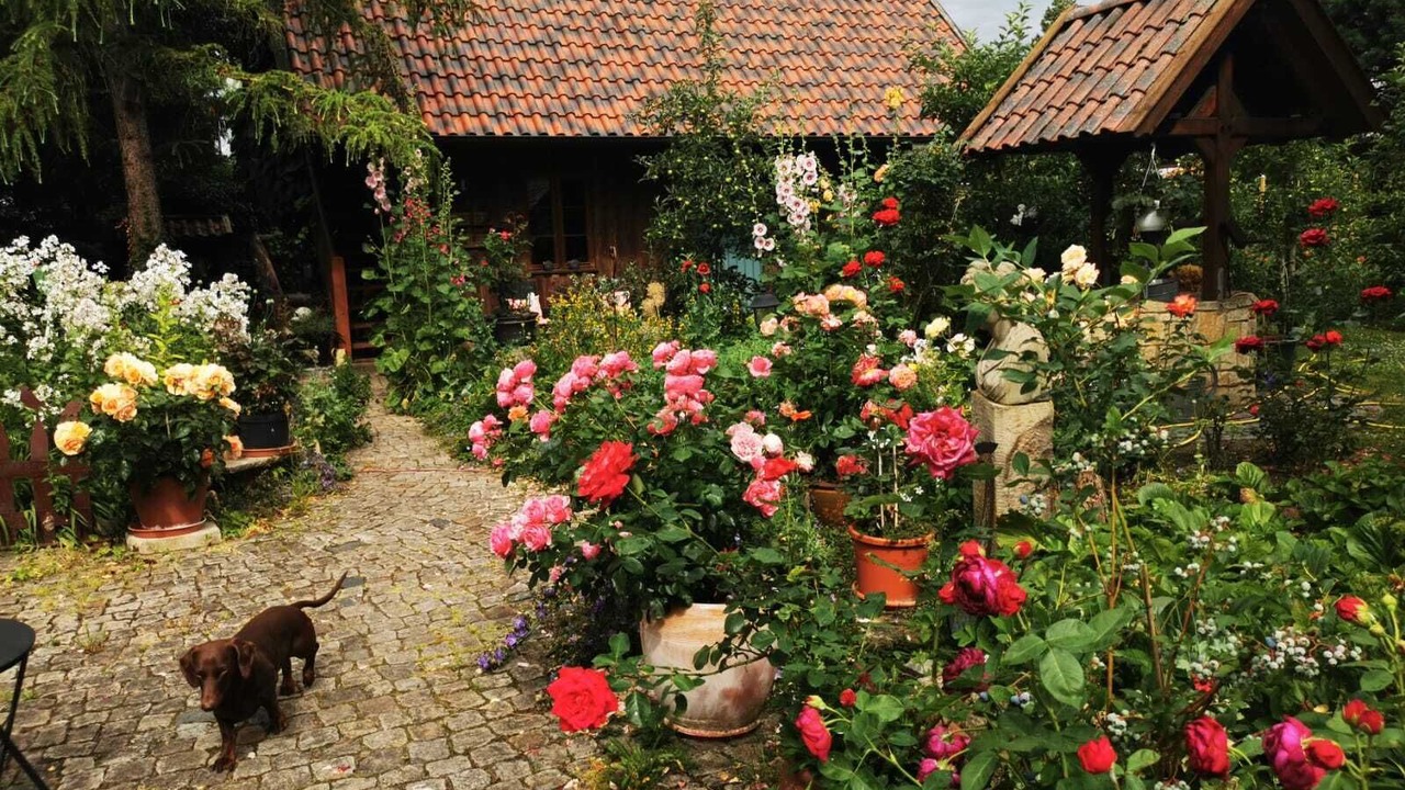 Photo of Outdoor in Kernstadt Lehrte
