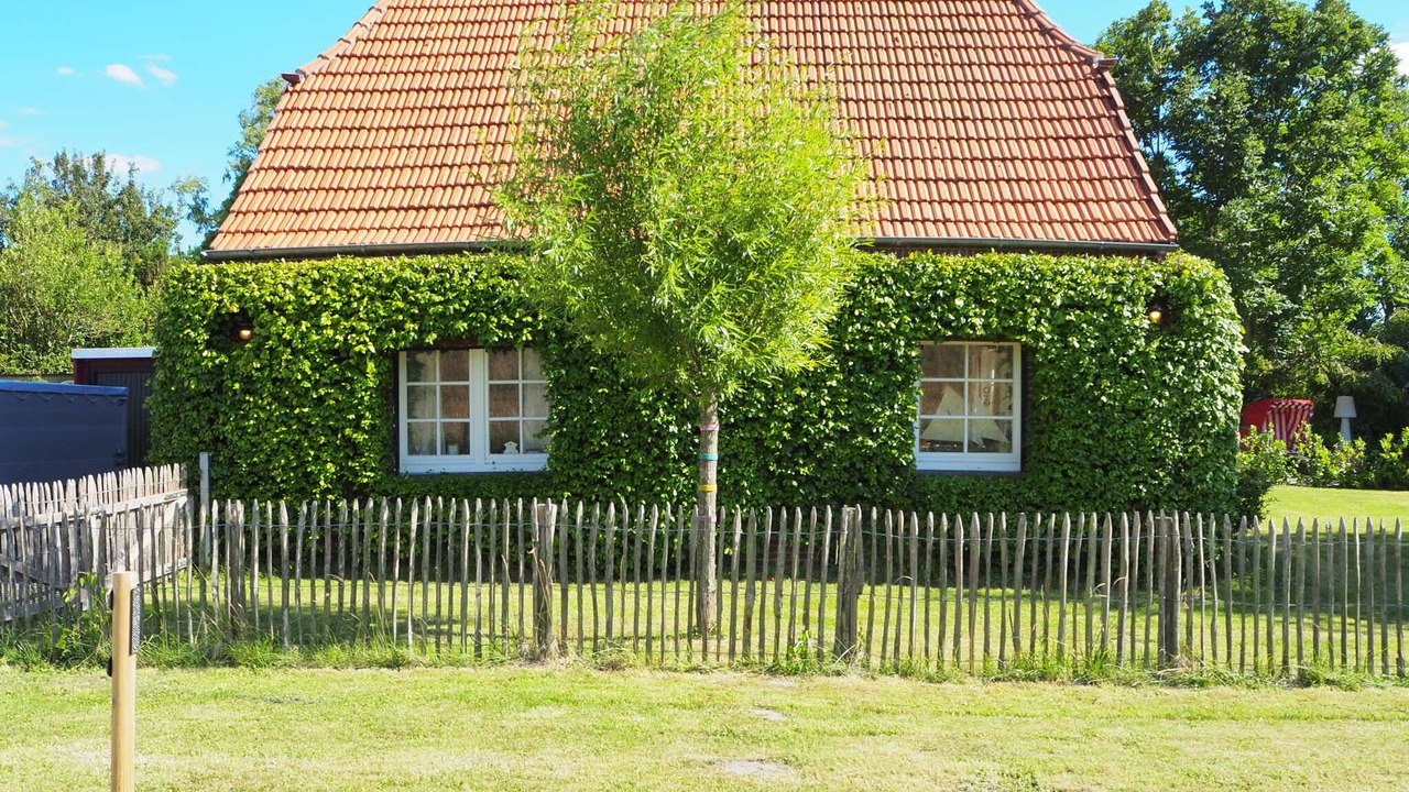 Photo of Outdoor in Butjadingen
