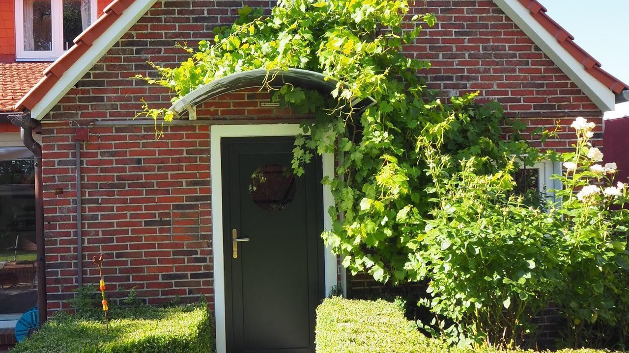 Photo of Outdoor in Butjadingen