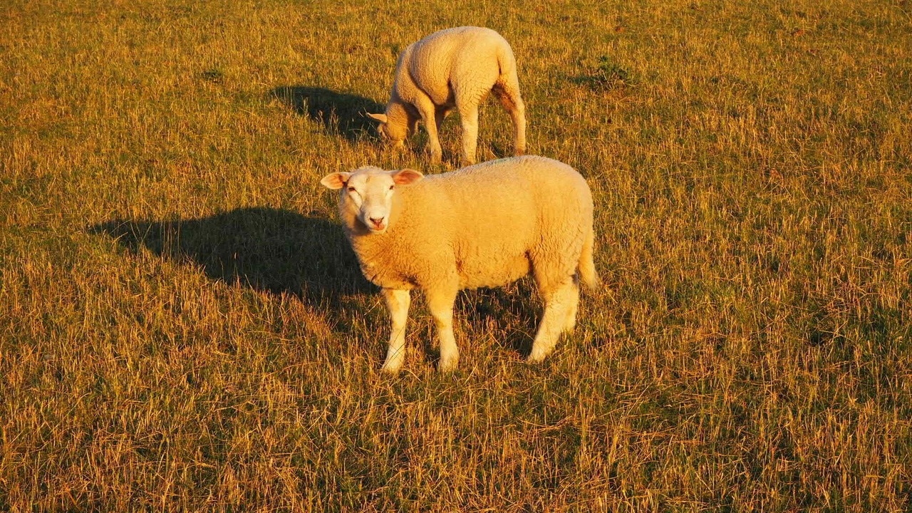 Photo of Outdoor in Butjadingen