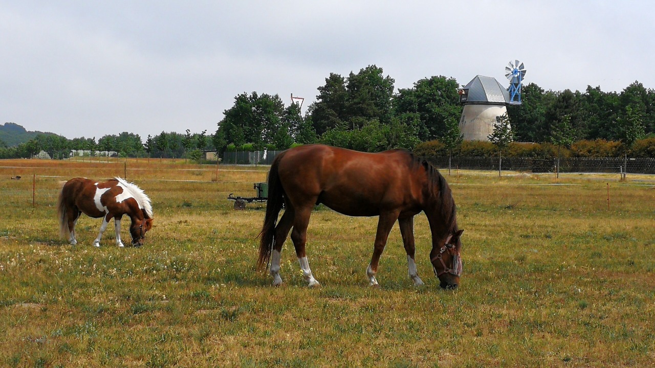 Photo of Outdoor in Kamminke