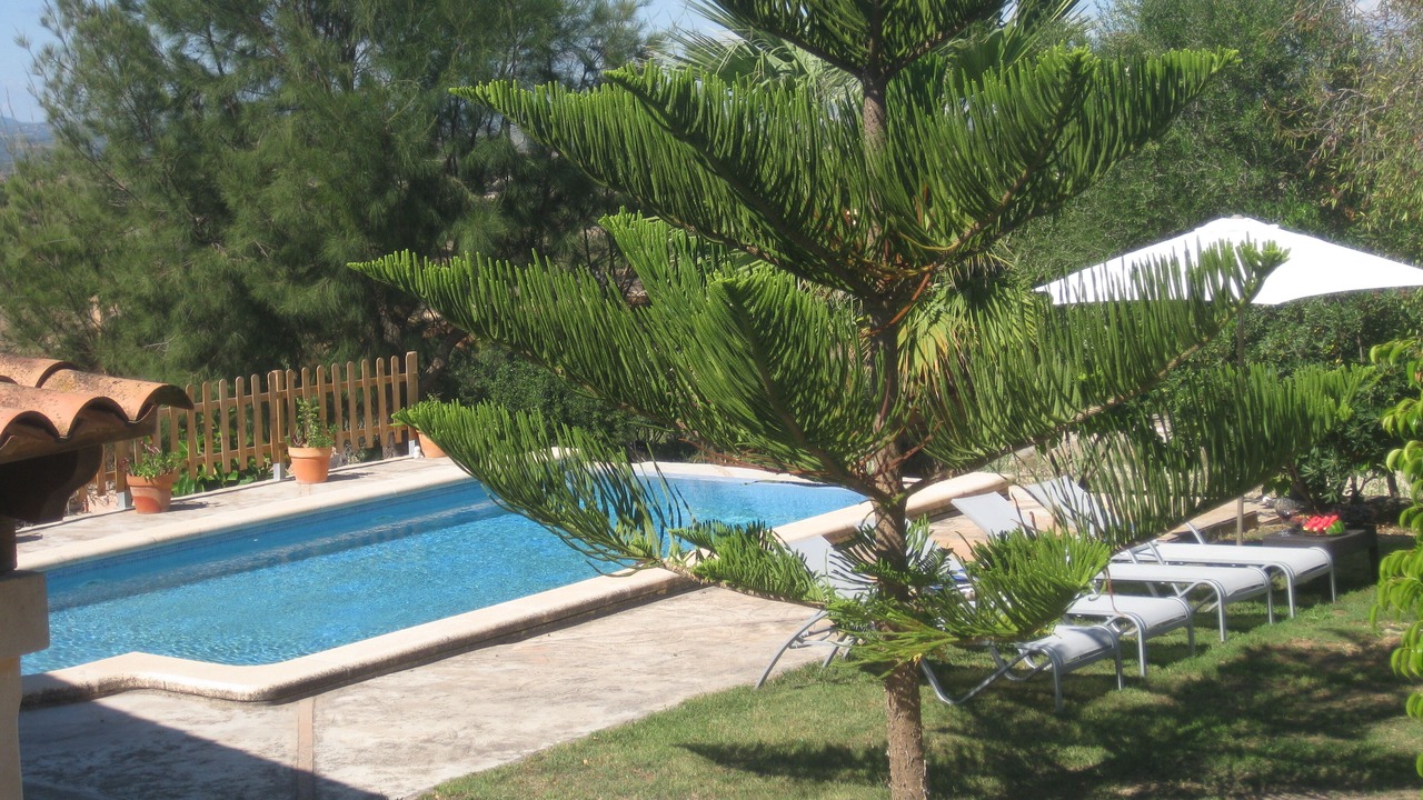 Photo of Outdoor in Son Macia
