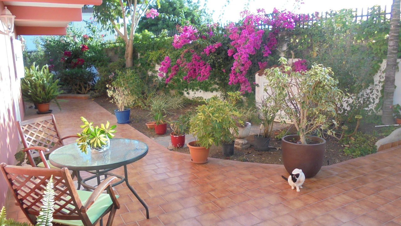 Photo of Outdoor in Los Olivos