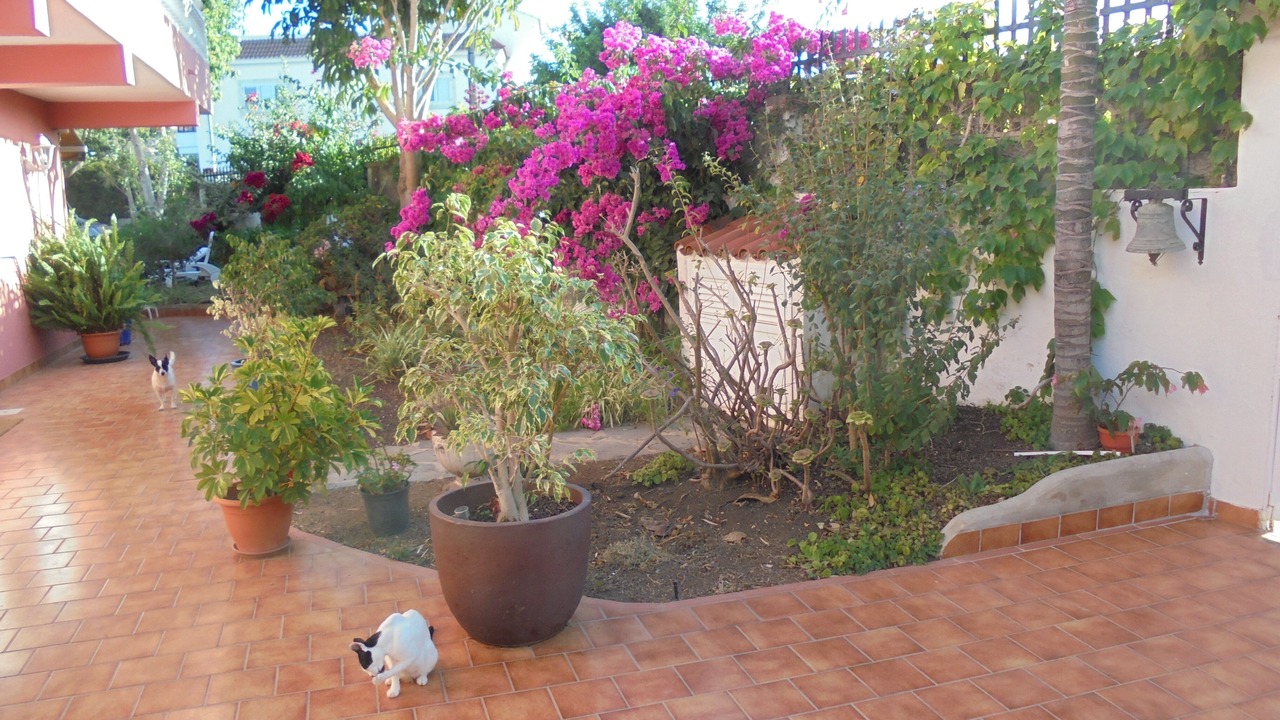 Photo of Outdoor in Los Olivos