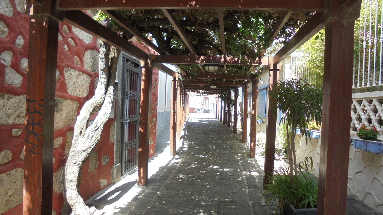 Photo of Outdoor in Los Olivos