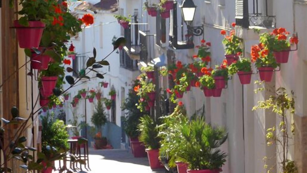 Photo of Others in Urbanizacion Puerto de Estepona