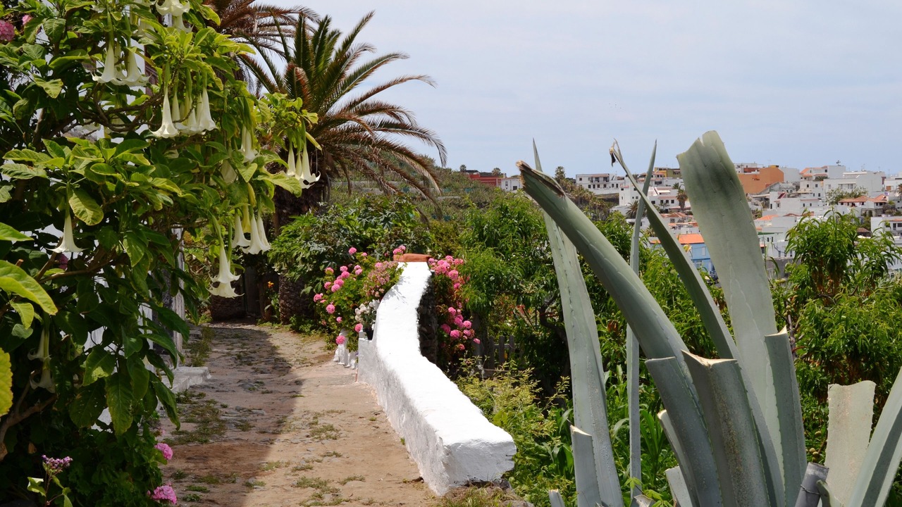 Photo of Outdoor in Las Aguas