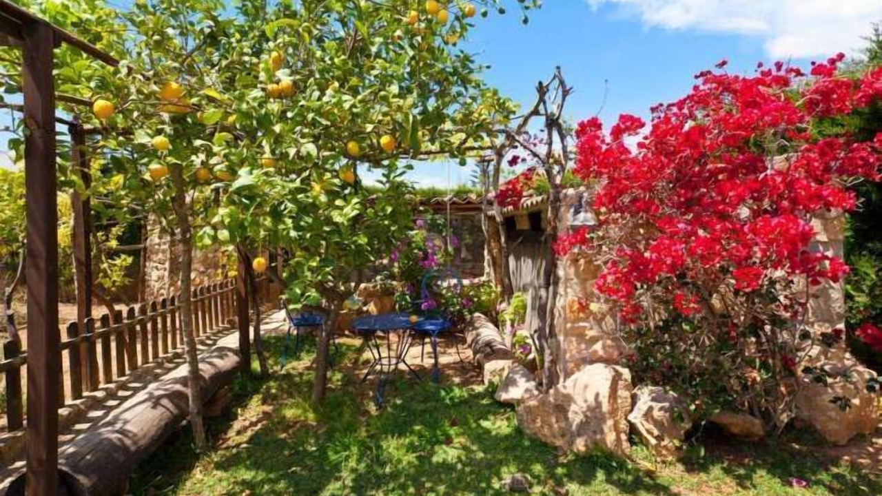 Photo of Patio Balcony in Son Antem