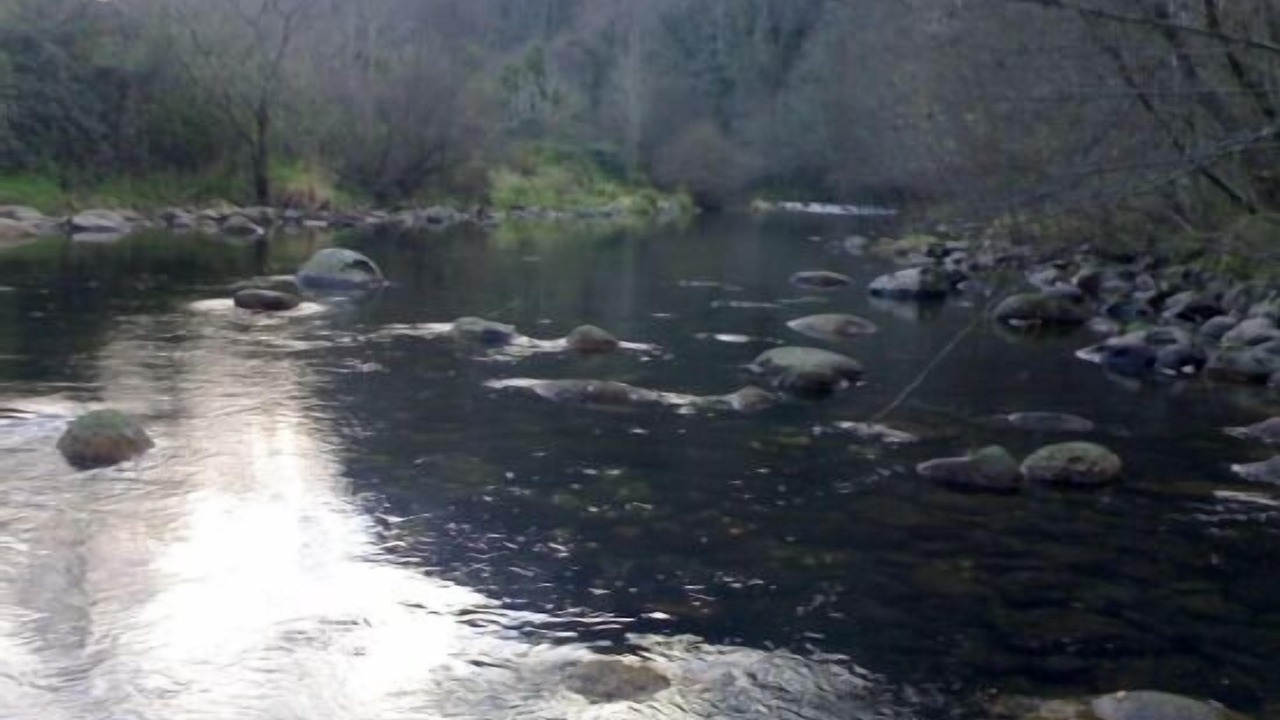 Photo of Outdoor in Celis