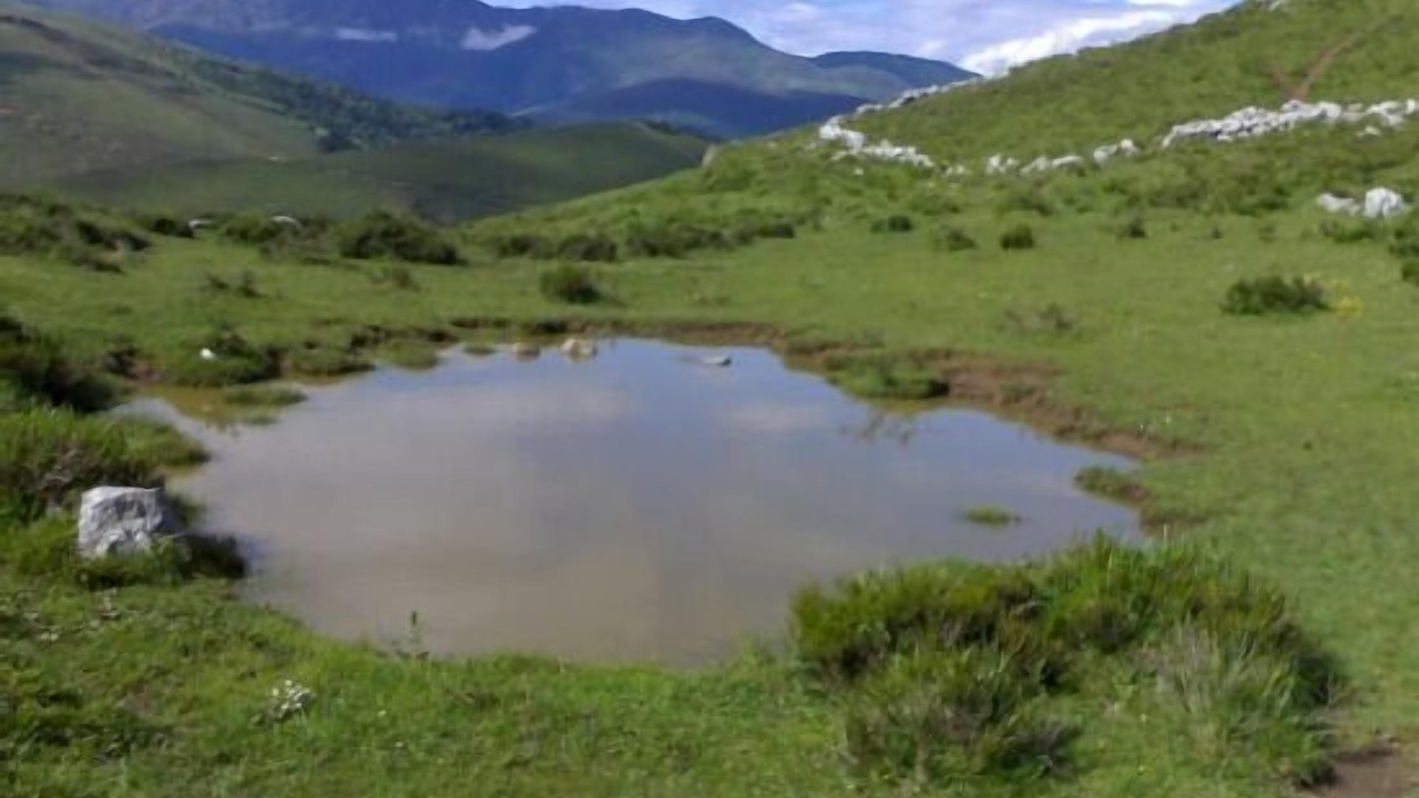 Photo of Outdoor in Celis