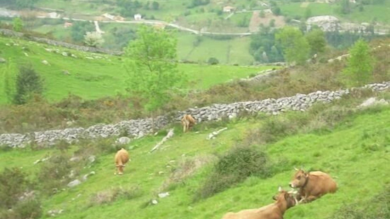 Photo of Outdoor in Celis