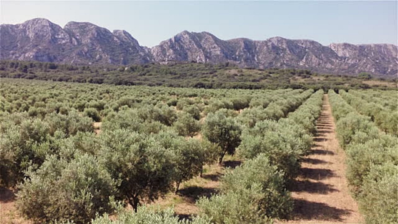 Photo of Outdoor in Mouries