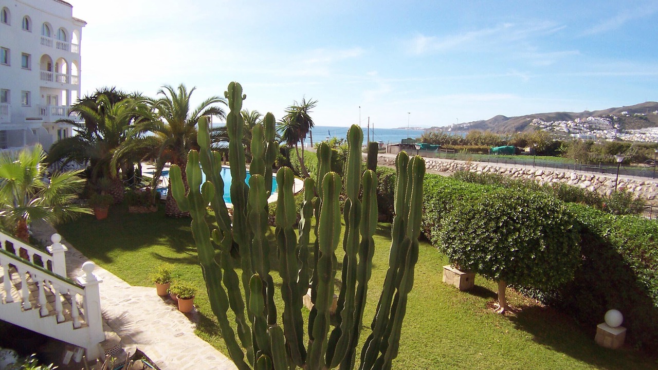 Photo of Others in Nerja