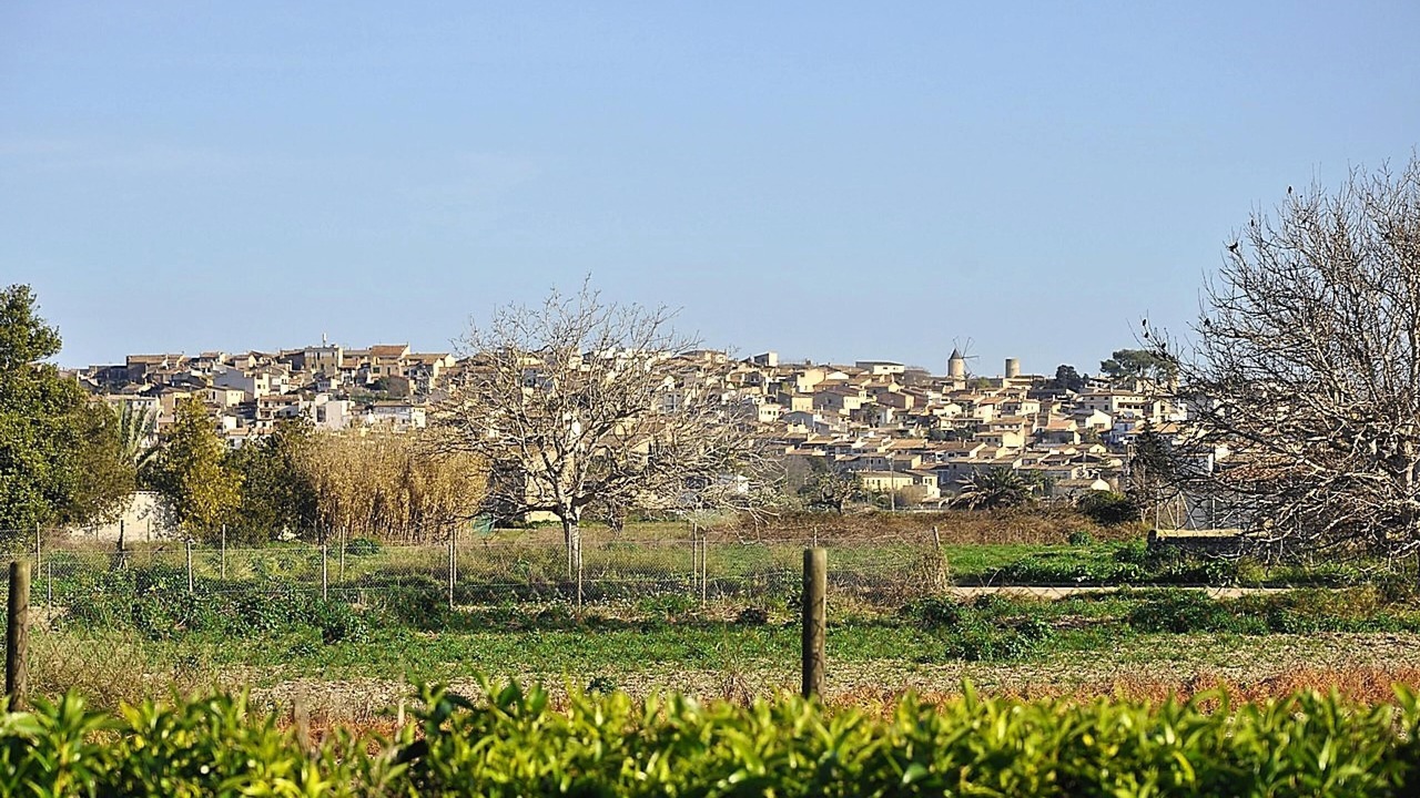 Photo of Outdoor in Montuiri