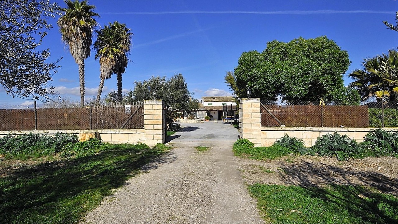Photo of Outdoor in Montuiri