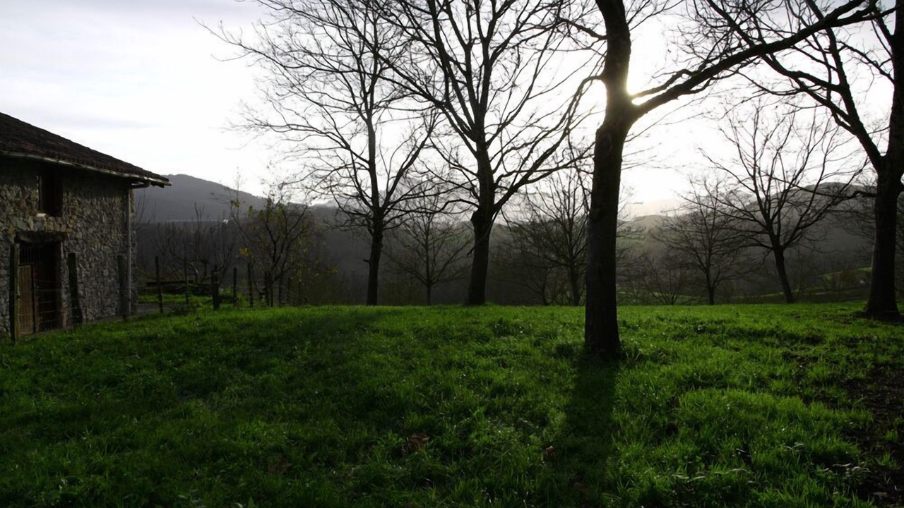 Photo of Outdoor in Mallabia