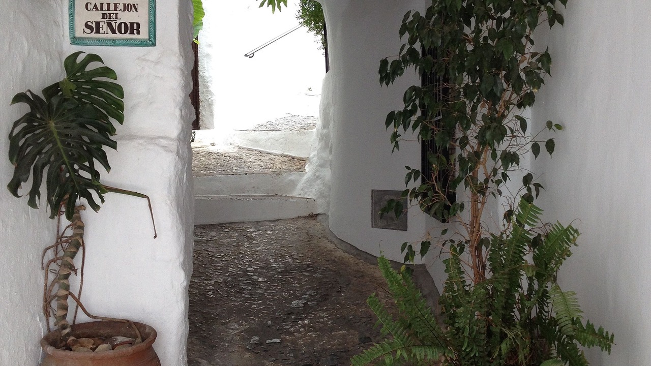 Photo of Others in Frigiliana